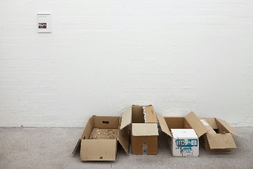 Jens Haaning, Rumanian Pigeons, 2025, photo by Krogh